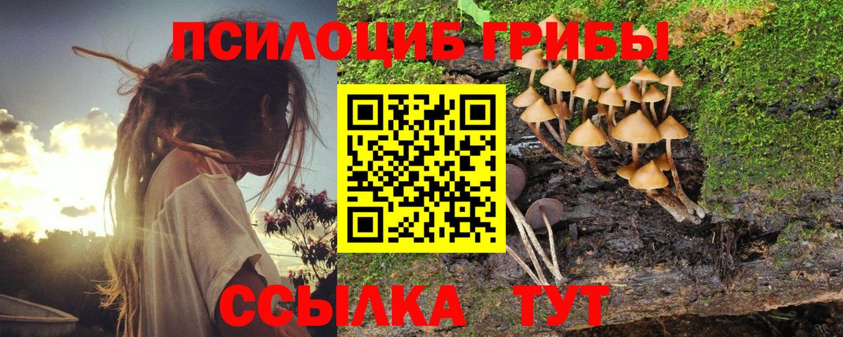 Галлюциногенные грибы GOLDEN TEACHER  Псилоцибиновые грибы мухоморы  Оренбург  Вход с VPN 